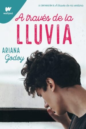 A través de mi ventana 3: A través de la lluvia de Ariana Godoy