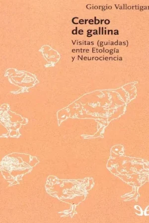 Cerebro de gallina de Giorgio Vallortigara