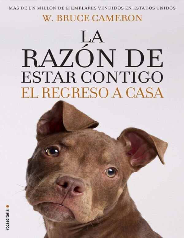La razon de estar contigo 3: Regreso a casa de W. Bruce Cameron