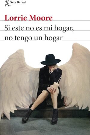 Si este no es mi hogar, no tengo un hogar de Lorrie Moore